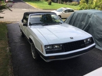 1980 Ford Mustang for sale in Michigan (ID-109507)