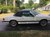 1980 Ford Mustang for sale in Michigan (ID-109507)
