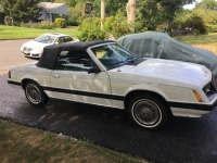 1980 Ford Mustang for sale in Michigan (ID-109507)
