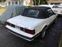 1980 Ford Mustang for sale in Michigan (ID-109507)