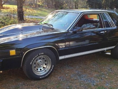 1980 Ford Thunderbird for sale
