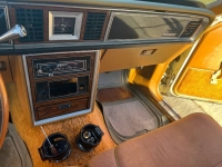 1980 Ford Thunderbird for sale in Michigan (ID-119507)