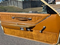 1980 Ford Thunderbird for sale in Michigan (ID-119507)