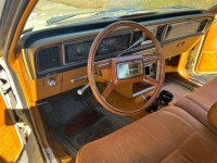 1980 Ford Thunderbird for sale in Michigan (ID-119507)