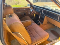 1980 Ford Thunderbird for sale in Michigan (ID-119507)