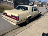 1980 Ford Thunderbird for sale in Michigan (ID-119507)