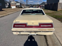 1980 Ford Thunderbird for sale in Michigan (ID-119507)