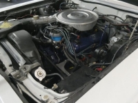 1980 Ford Thunderbird for sale (ID-131629)