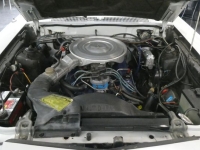 1980 Ford Thunderbird for sale (ID-131629)