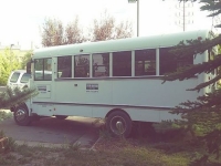 1980 International Model 3000 for sale in Michigan (ID-105110)