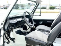 1980 International Scout II for sale in Michigan (ID-124677)