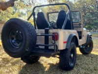 1980 Jeep CJ5 for sale in Michigan (ID-107033)