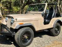1980 Jeep CJ5 for sale in Michigan (ID-107033)
