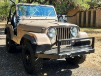 1980 Jeep CJ5 for sale in Michigan (ID-107033)
