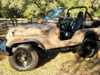 1980 Jeep CJ5 for sale in Michigan (ID-107033)
