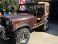 1980 Jeep CJ5 for sale in Michigan (ID-111536)