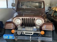1980 Jeep CJ5 for sale in Michigan (ID-111536)