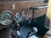 1980 Jeep CJ5 for sale in Michigan (ID-111536)