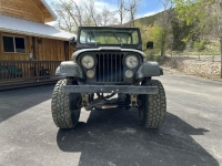 1980 Jeep CJ5 for sale in Michigan (ID-116563)