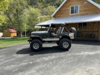 1980 Jeep CJ5 for sale in Michigan (ID-116563)