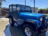 1980 Jeep CJ5 for sale in Michigan (ID-116615)