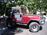 1980 Jeep CJ5 for sale in Michigan (ID-120127)