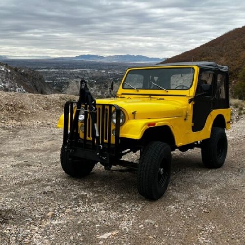 1980 Jeep CJ5 for sale in Michigan (ID-121811)