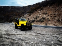 1980 Jeep CJ5 for sale in Michigan (ID-121811)