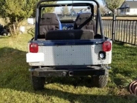 1980 Jeep CJ5 for sale in Michigan (ID-126126)
