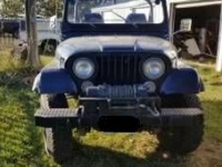 1980 Jeep CJ5 for sale in Michigan (ID-126126)