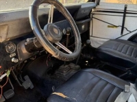 1980 Jeep CJ5 for sale in Michigan (ID-139766)