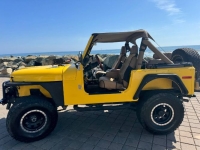 1980 Jeep CJ7 for sale in Michigan (ID-142238)
