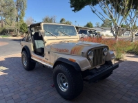 1980 Jeep CJ7 for sale in Michigan (ID-161334)