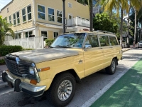 1980 Jeep Grand Wagoneer for sale in Michigan (ID-123138)
