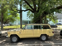 1980 Jeep Grand Wagoneer for sale in Michigan (ID-123138)