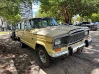 1980 Jeep Grand Wagoneer for sale in Michigan (ID-123138)