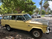 1980 Jeep Grand Wagoneer for sale in Michigan (ID-123138)
