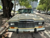 1980 Jeep Grand Wagoneer for sale in Michigan (ID-123138)