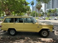 1980 Jeep Grand Wagoneer for sale in Michigan (ID-123138)