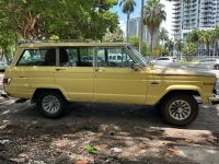 1980 Jeep Grand Wagoneer for sale in Michigan (ID-123138)