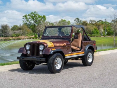 1980 Jeep Wrangler for sale