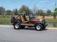 1980 Jeep Wrangler for sale in Riverhead, New York (ID-126437)