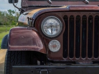 1980 Jeep Wrangler for sale in Riverhead, New York (ID-126437)