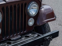 1980 Jeep Wrangler for sale in Riverhead, New York (ID-126437)