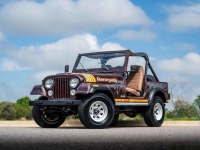 1980 Jeep Wrangler for sale in Riverhead, New York (ID-126437)