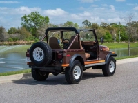 1980 Jeep Wrangler for sale in Riverhead, New York (ID-126437)