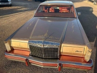 1980 Lincoln Continental for sale in Michigan (ID-137532)