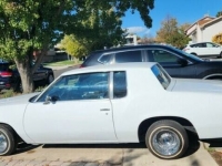 1980 Oldsmobile Cutlass for sale in Michigan (ID-122749)