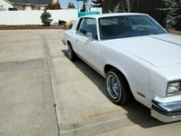1980 Oldsmobile Cutlass for sale in Michigan (ID-122749)