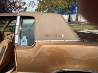 1980 Oldsmobile Cutlass for sale in Michigan (ID-133937)